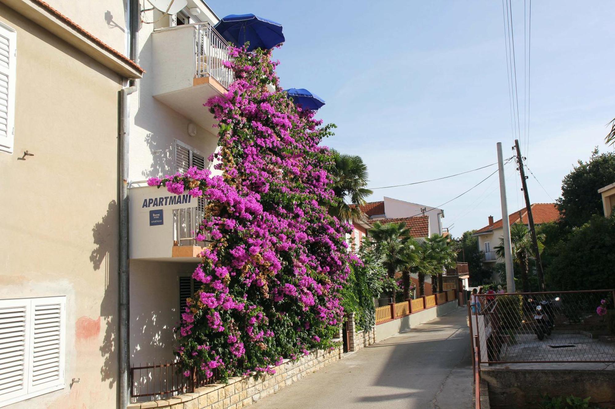 Apartments J&R Babara Biograd Na Moru Rum bild